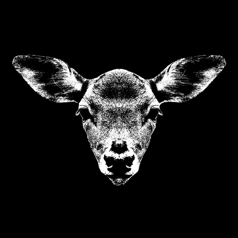 Deer portrait light