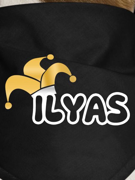Fastnacht Ilyas