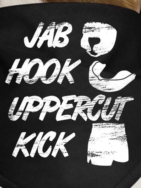 Funny kickboxer saying