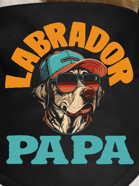 Labrador Tricks