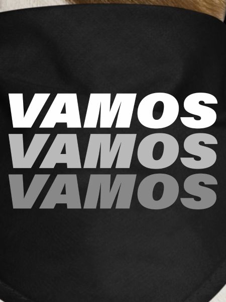 VAMOS