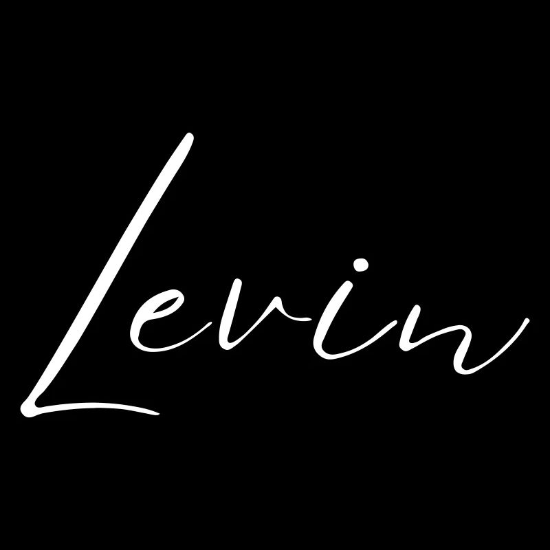 Levin Name T-Shirt Gift for Men