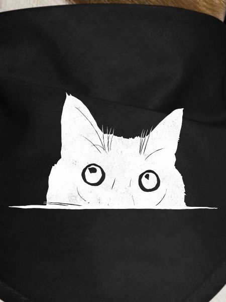 Peeping Cat