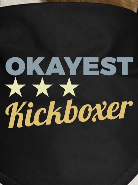 Funny Kickboxer