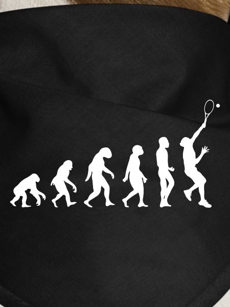Évolution du tennis