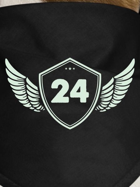 24 Shield with wings