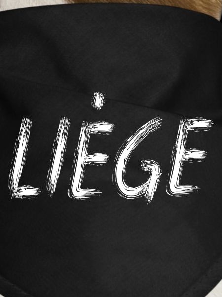 Liege City Brush Script