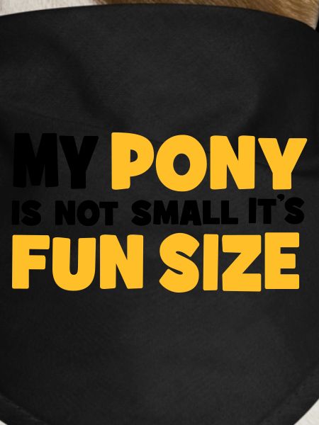 pony
