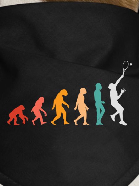 Tennis Evolution