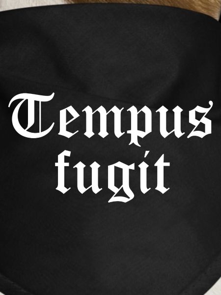 tempus fugit