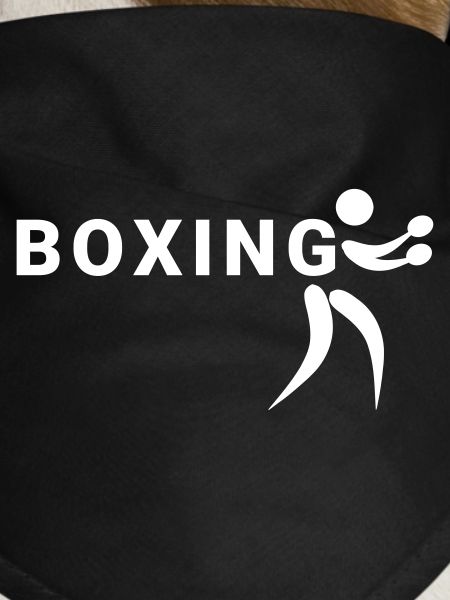 Boxing Sports