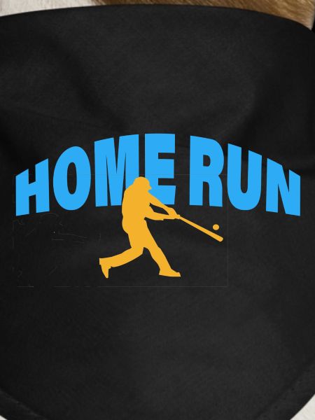 HOME RUN