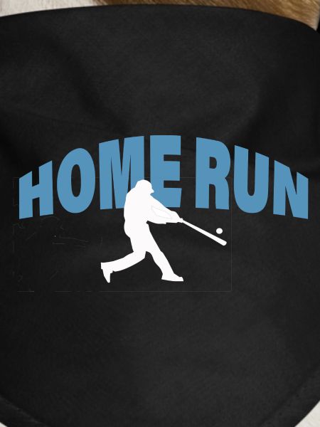 HOME RUN