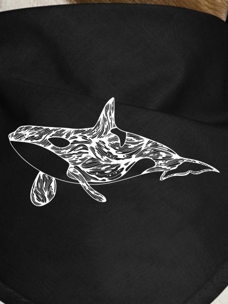 killer whale