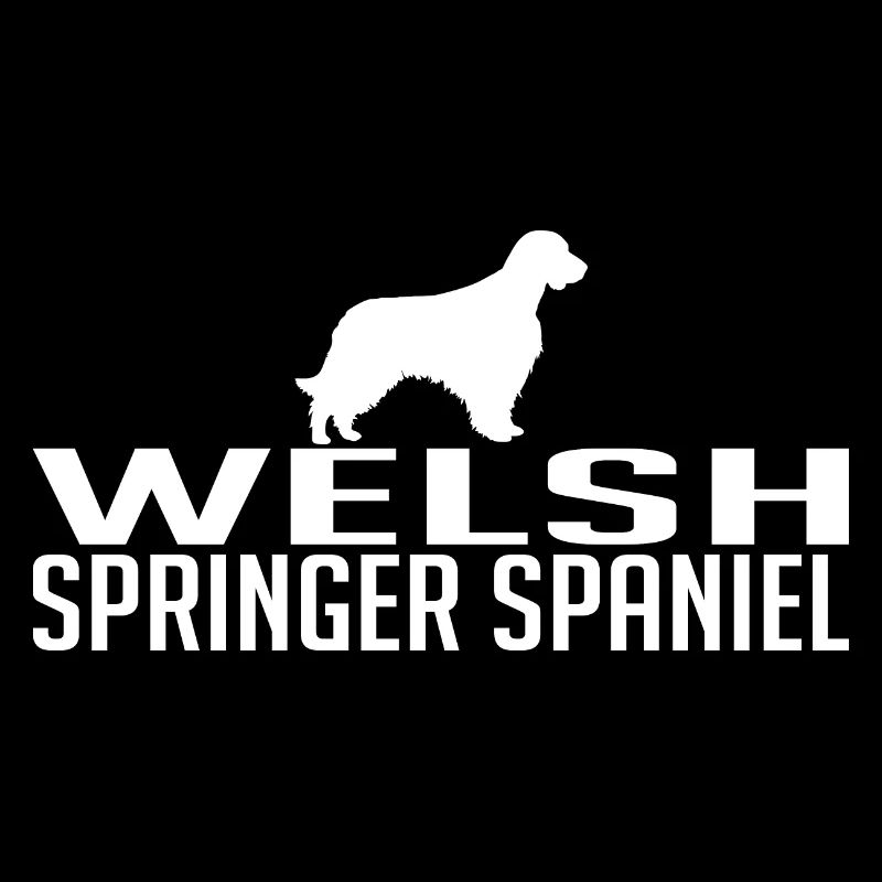 WELSH SPRINGER SPANIEL RACE DE CHIEN CHASSE Wilsigns