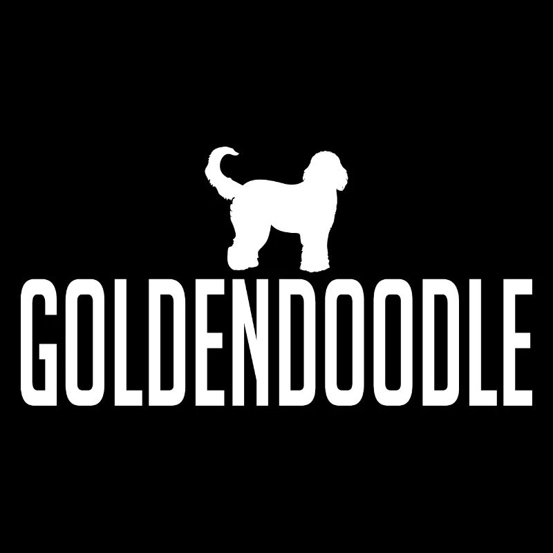 Goldendoodle Hunderasse Hunde Doodle Wilsigns