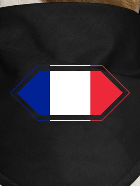 French Flag Diamond
