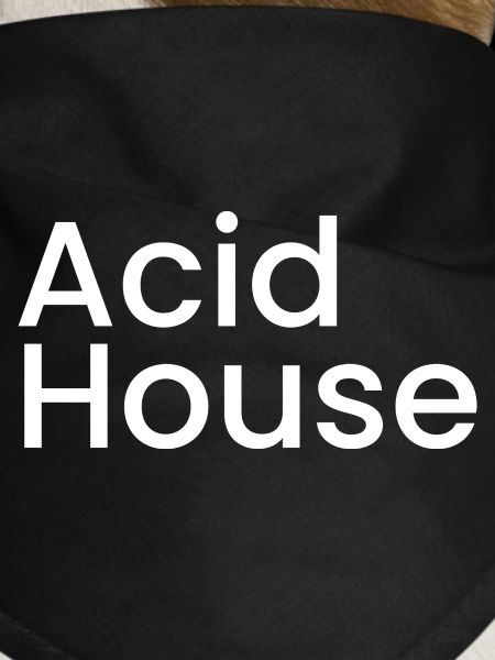 Acid Haus