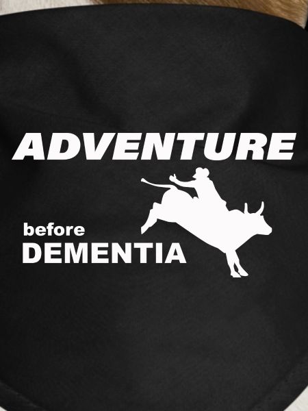 RODEO ADVENTURE