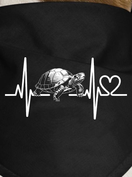 sea turtle turtle
