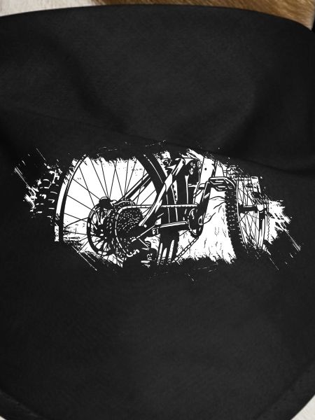 Gears in Motion