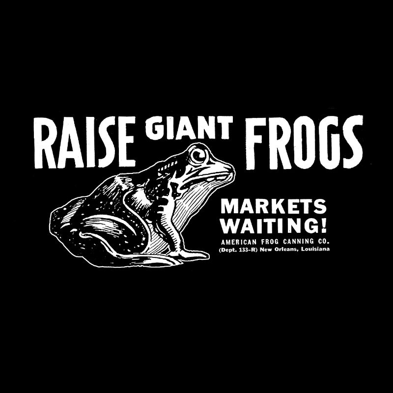 Élever des grenouilles géantes