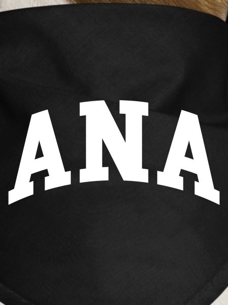 ANA