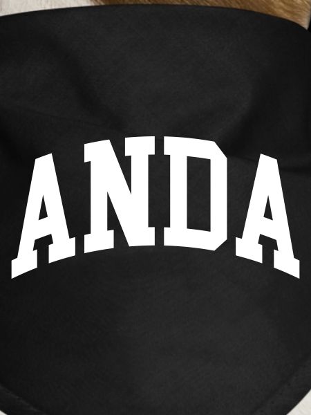 Anda