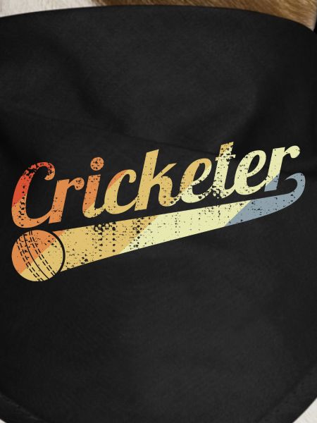 Retro Cricketer