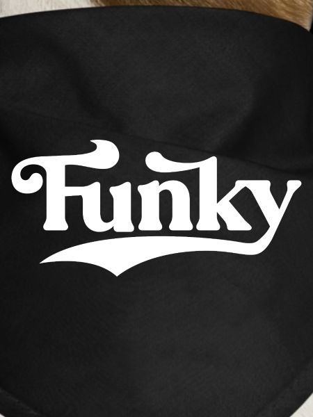 Funky Retro Script Logo