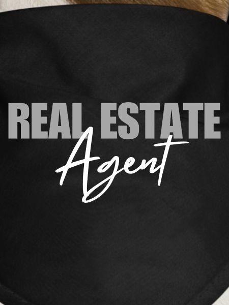Real Estate Agent Realtor