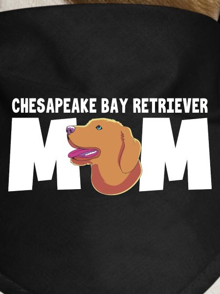 Chesapeake Bay Retriever