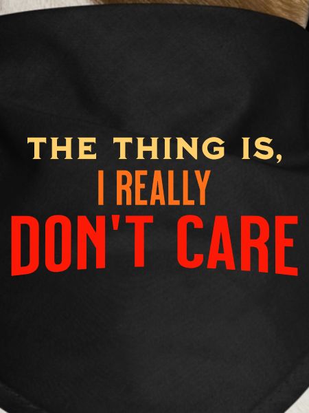 I Really Dont Care