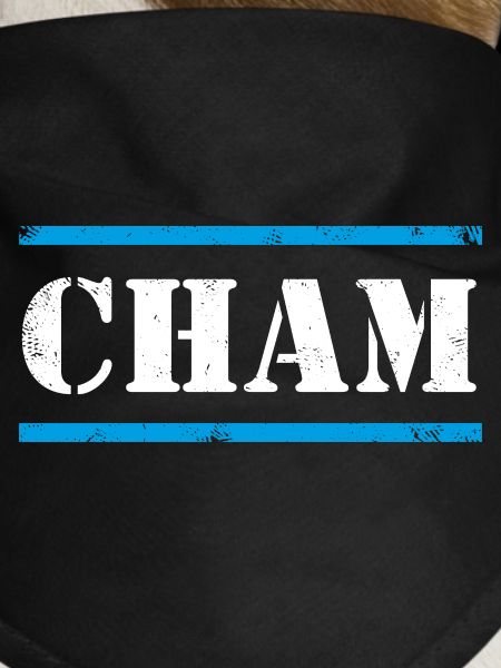 Cham