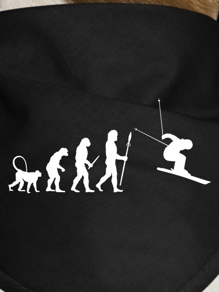 Évolution du ski