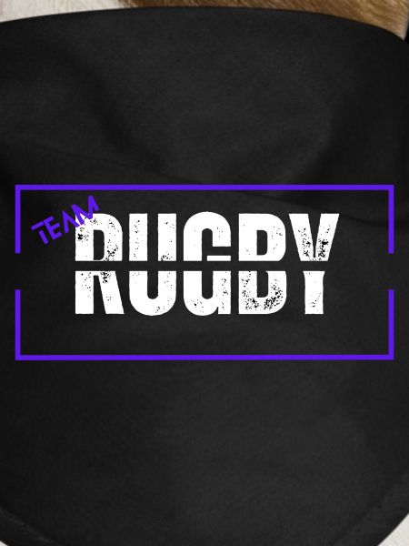 Team rugby blue