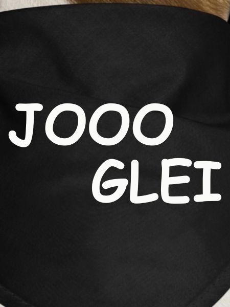 JOOO GLEI