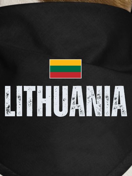 Lithuanian pride, flag of Lithuania