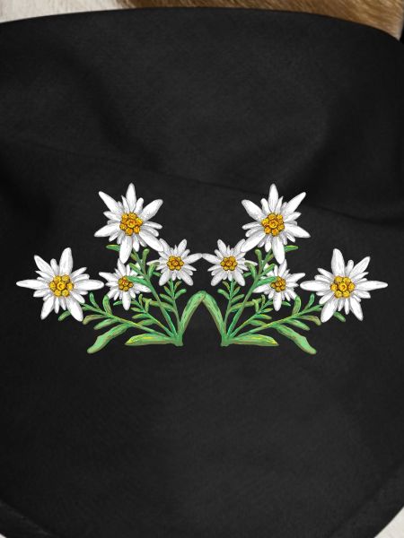 Edelweiss 