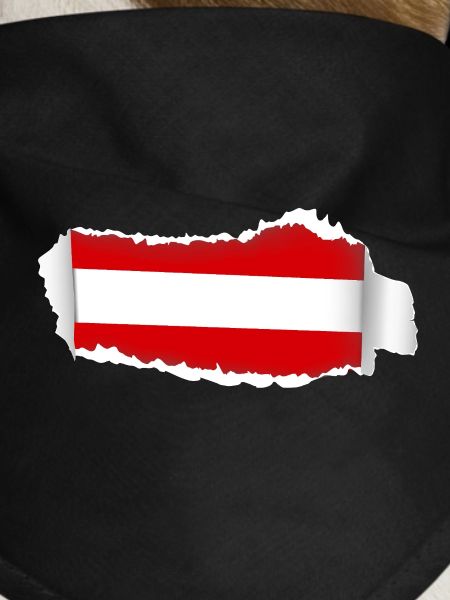 Cracked Austria Flag