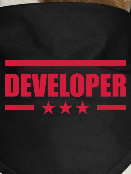 Developer