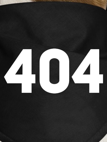 404 not found