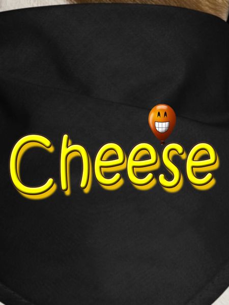 cheese