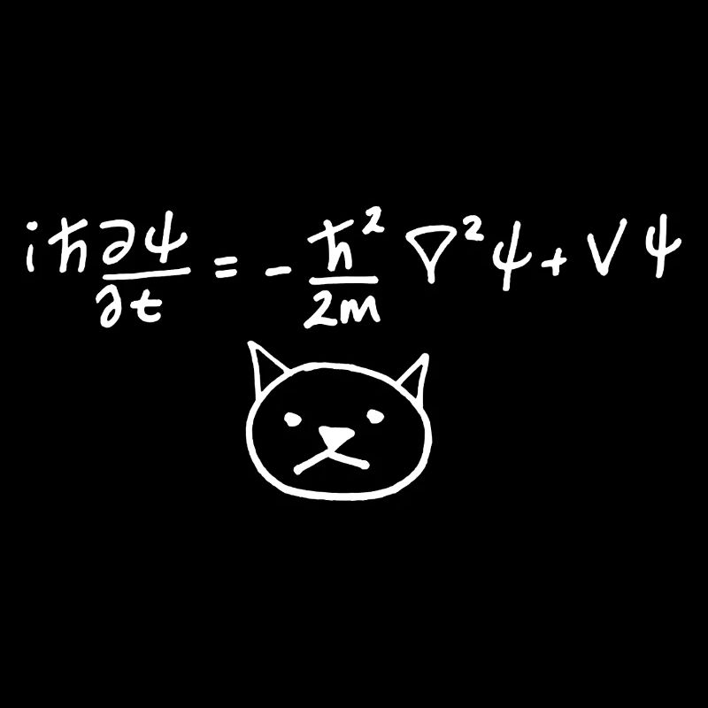 Physical Cat with Equation on White