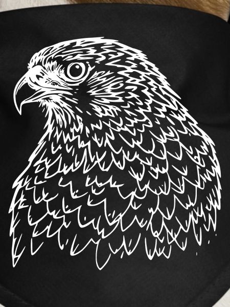 Falcon Head