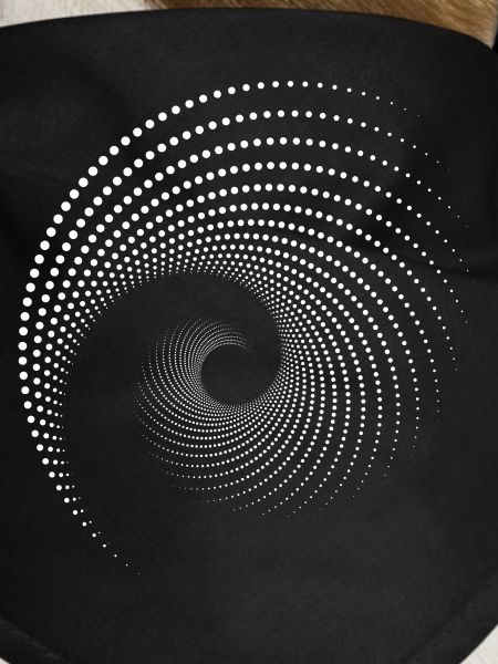 Spiral Dot Galaxy Print