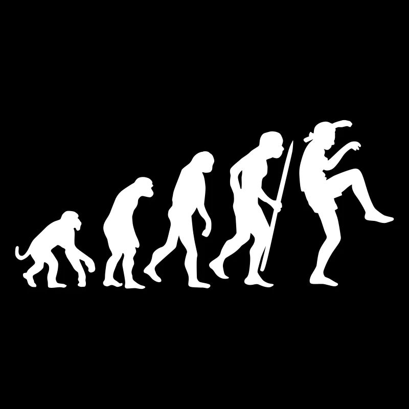 Funny Evolution Karate Vintage 80s Crane Kick