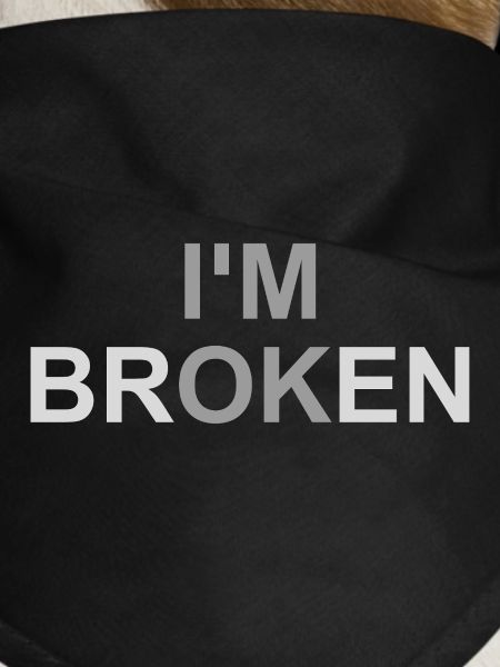 Mentally Broken