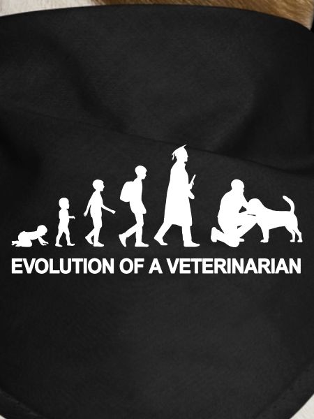 Veterinary Development