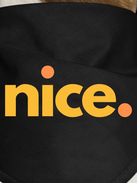 nice.04